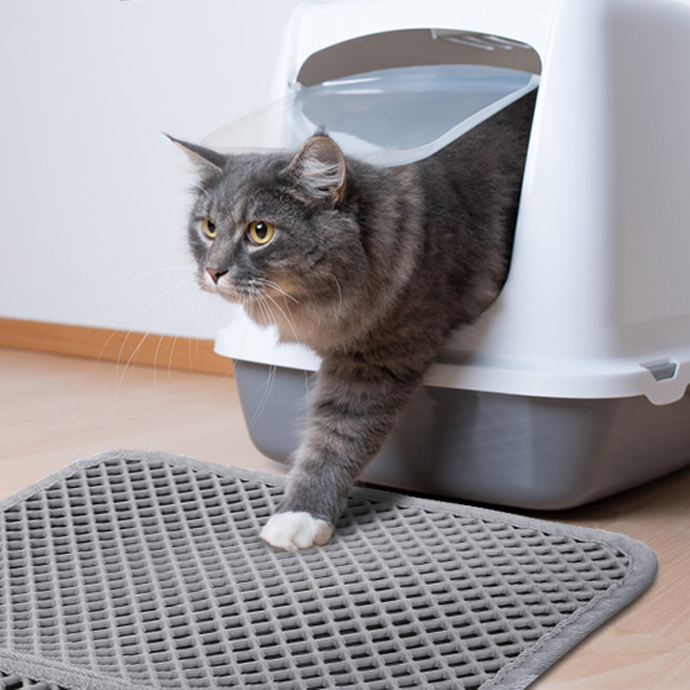 Dağınık Olmayan Kedi Kumu Paspası